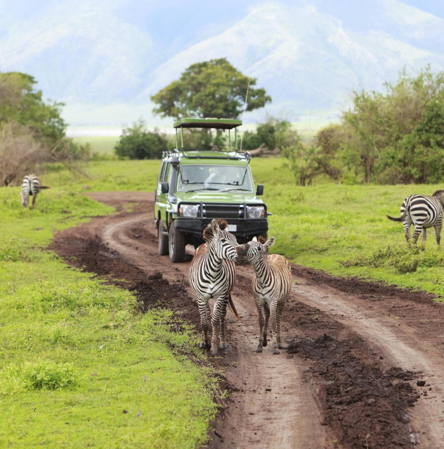 Passende Safari-Bekleidung in Naturtönen